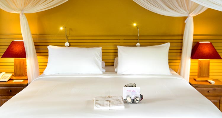 All the rooms can be fitted for double or single occupancy to provide maximum comfort for your yoga retreat in Ubud.