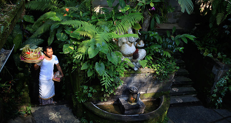Our yoga retreat centre is built in luxuriant greenery, a serene location for best yoga retreats in Bali.